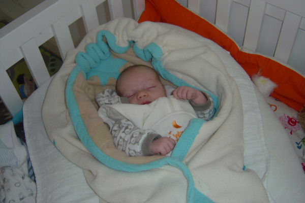 Image 40 of 56  -  37 kB